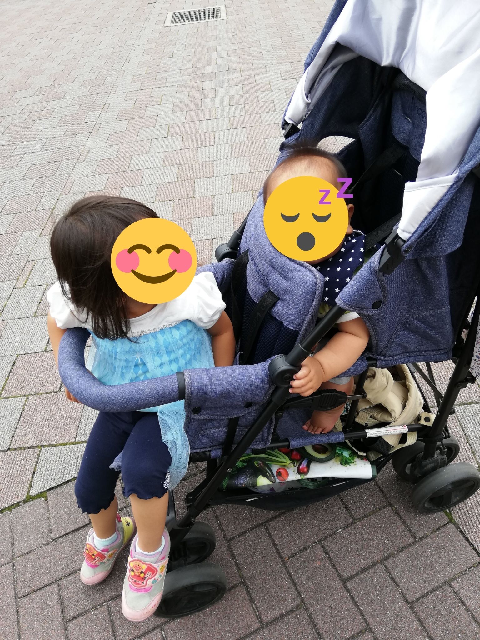 ベビーカーに2人乗っているところ